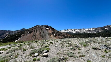 High alpine terrain with sparse vegetation, rocky slopes, and snow-capped peaks in background,...