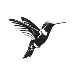 Hummingbird Silhouette Vector Illustration