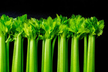 Fresh green celery stalks arranged in a row against a black background