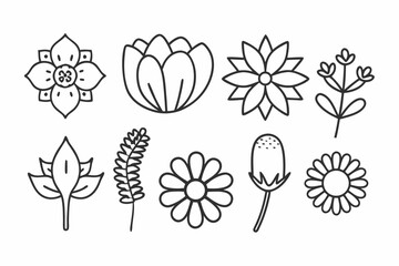 Flower and Plant Line Art Icons Set  Minimalist Botanical Vector Illustration