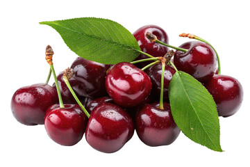 A cluster of plump, dark red cherries with vibrant green leaves.  Fresh, juicy cherries, glistening with moisture, are piled together, stems attached, and leaves are interspersed amongst the fruit