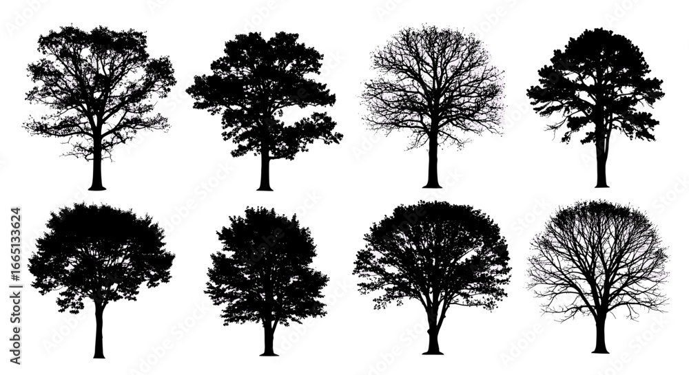Poster eight tree silhouettes arranged in two rows showcasing different tree shapes and branching patterns