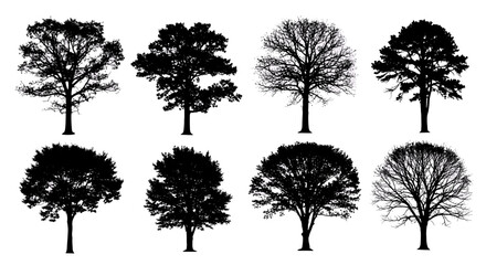 Obraz premium Eight tree silhouettes arranged in two rows showcasing different tree shapes and branching patterns