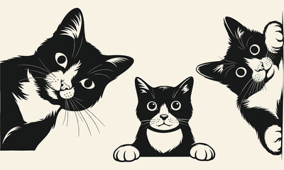 Peeking Cat SVG Bundle, Cute Cat SVG files, curious Pet Vector, Kitten svg, Cut Files for Cricut & Silhouette in Svg.