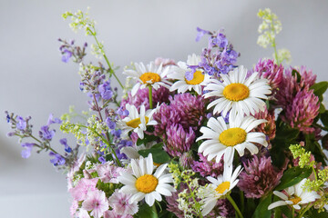 A bouquet of wildflowers on a white background: daisies, clover, and others