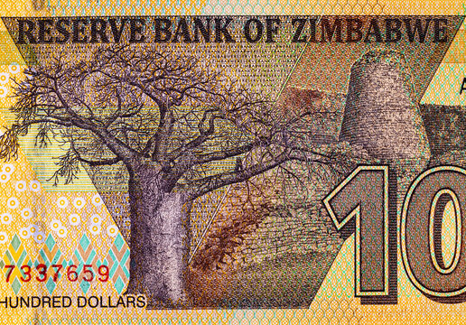 Zimbabwe 100 dollar banknote, fragment for designers. Zimbabwe paper money.
