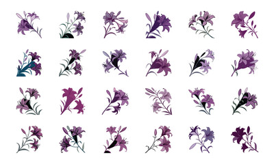 Colorful Vector Illustration Set of Flowers – Hibiscus, Orchid, Daisy, Cherry Blossom, Lily, Botanical Floral Collection, Decorative Bloom Clipart, Hand Drawn Elegant Flower Design Elements for Nature