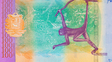100 Bolivares Venezuela, with a portrait of a monkey. Fragment for designers. Money of Venezuela.
