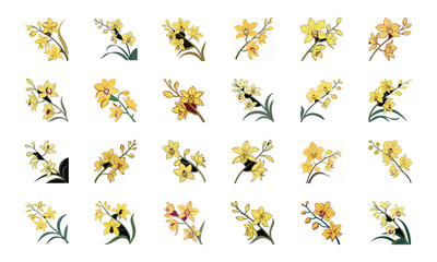 Colorful Vector Illustration Set of Flowers – Hibiscus, Orchid, Daisy, Cherry Blossom, Lily, Botanical Floral Collection, Decorative Bloom Clipart, Hand Drawn Elegant Flower Design Elements for Nature