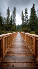 Obraz premium Timber pedestrian bridge in forest with railings