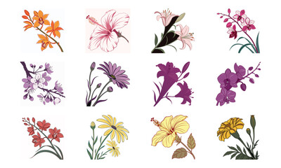 Colorful Vector Illustration Set of Flowers – Hibiscus, Orchid, Daisy, Cherry Blossom, Lily, Botanical Floral Collection, Decorative Bloom Clipart, Hand Drawn Elegant Flower Design Elements for Nature