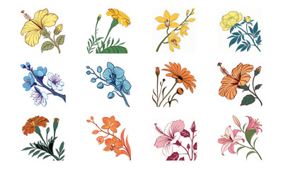 Colorful Vector Illustration Set of Flowers &ndash; Hibiscus, Orchid, Daisy, Cherry Blossom, Lily, Botanical Floral Collection, Decorative Bloom Clipart, Hand Drawn Elegant Flower Design Elements for Nature