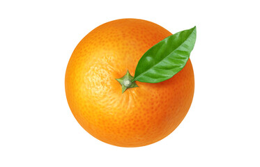 みかん イラスト リアル 白バック