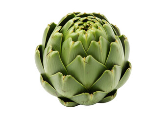 Obraz premium Close-up view of a vibrant green artichoke head against a stark black background, showcasing its intricate and detailed structure.