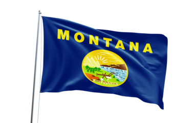 Montana flag