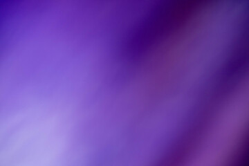 Festive violet pink gradient abstract soft wave background for celebration and event design