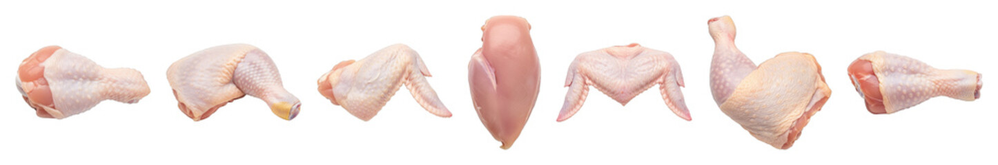 Fresh raw chicken cuts set including drumsticks, wings, thighs, and a breast fillet isolated....