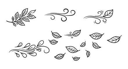 a collection of black and white line drawings of leaves and swirling leafy vines © nhpvect02
