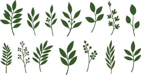 Set of Twelve Green Botanical Leaf and Berry Sprigs on White leaves branches