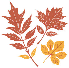 autumn leaves background