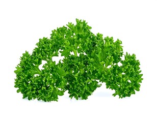 Obraz premium Close-up of fresh parsley sprigs (1)