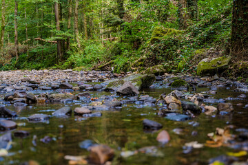 Klarer Bachlauf zwischen Steinen in einem grünen Waldgebiet im Spätsommer