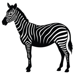 Fototapeta premium A striking black and white illustration of a zebra standing on a white background
