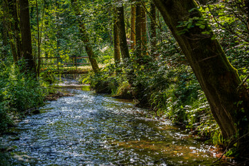 Ein malerischer Waldfluss mit Sonnenschein und Schatten in der Natur
