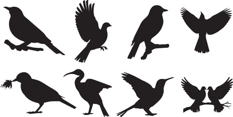 Set of different bird silhouettes vector with flying sitting and decorative poses