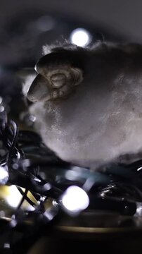 Una toma de cerca de una oveja de lana de color blanco rodeada de luces blancas en movimiento en la oscuridad, ideal para la &eacute;poca de navidad. Desenfoque, efecto Bokeh. Video Vertical