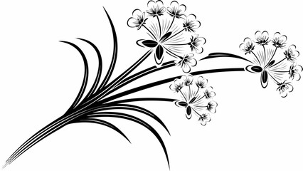 black and white flowers