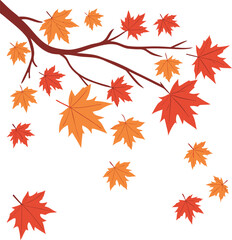 Fototapeta premium Autumn Maple Leaves – Fall Season Vector