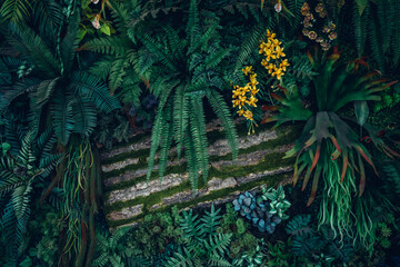 Close up group of background tropical green leaves texture and abstract background. Tropical leaf nature concept.