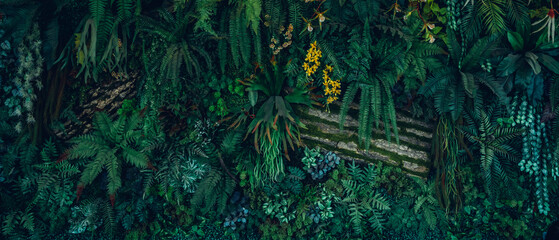 Close up group of background tropical green leaves texture and abstract background. Tropical leaf nature concept.
