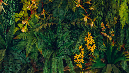 Close up group of background tropical green leaves texture and abstract background. Tropical leaf nature concept.