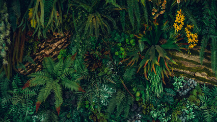 Close up group of background tropical green leaves texture and abstract background. Tropical leaf nature concept.