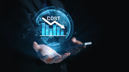 Cost reduction and cost saving through digital transformation, business cost optimization,...