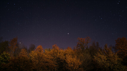Fototapeta premium Starry sky above an autumn forest evoking deep serenity