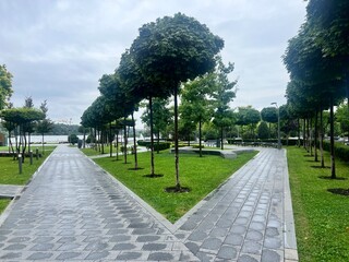 path in park