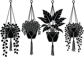 PrintVector illustration of four hanging houseplants in macrame plant holders with leaves and vines, perfect for home decor and design.