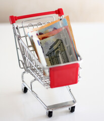 shopping cart with money