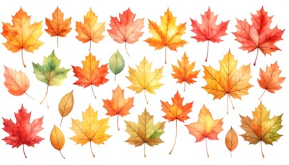 Obraz premium Watercolor autumn leaves