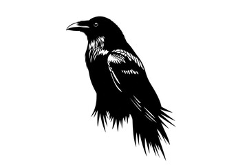 Fototapeta premium Silhouette of a black raven perched against a white background, a striking graphic illustration perfect for dark, mystical, or gothic themes.