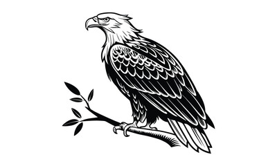 A Eagle Black and white outline of perched on a tree branch. Perfect for coloring pages, wildlife education, tattoo designs, or nature illustrations.