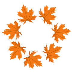 Wreath of orange dry maple leaves. Vector botanical illustration on a white background. Autumn theme, tree leaves