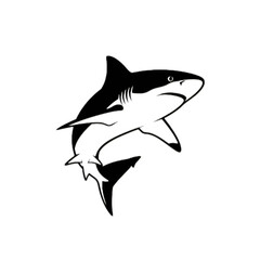 Obraz premium Silhouette of a shark. Shark vector illustration