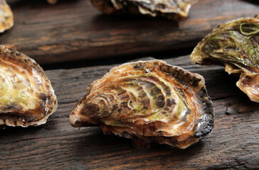 Fresh sea bivalve oysters are laid out on a wooden table. Oysters are a dietary, sports food and...