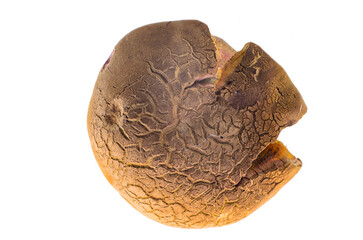 Top view closeup of edible mushroom cap on white background