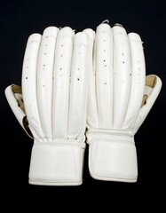 Pair of white cricket batting gloves (1)