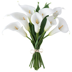 Obraz premium Calla Lilies bouquet isolated on transparent background